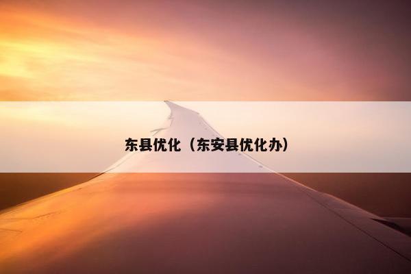 东县优化（东安县优化办）