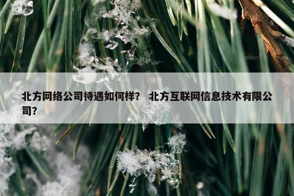 北方网络公司待遇如何样？ 北方互联网信息技术有限公司？