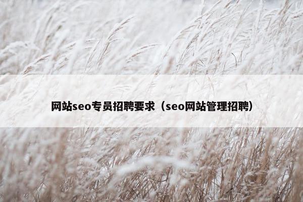 网站seo专员招聘要求（seo网站管理招聘）