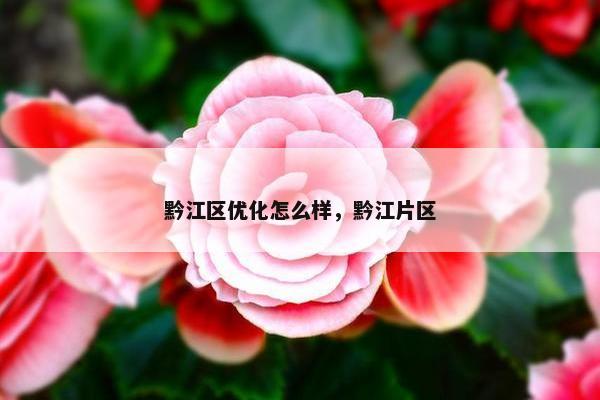 黔江区优化怎么样，黔江片区