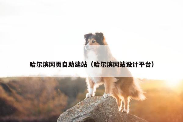 哈尔滨网页自助建站（哈尔滨网站设计平台）