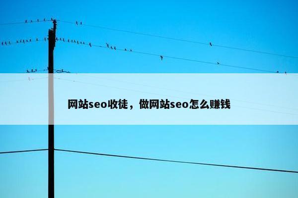 网站seo收徒，做网站seo怎么赚钱