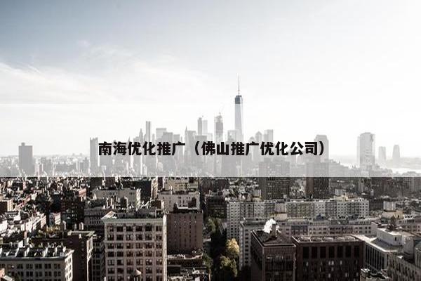 南海优化推广（佛山推广优化公司）