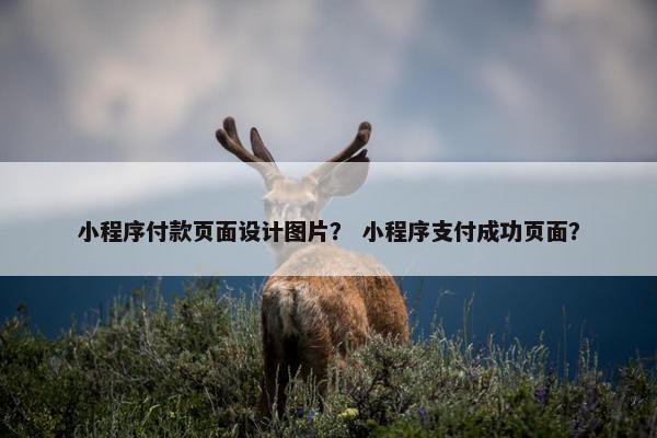 小程序付款页面设计图片？ 小程序支付成功页面？
