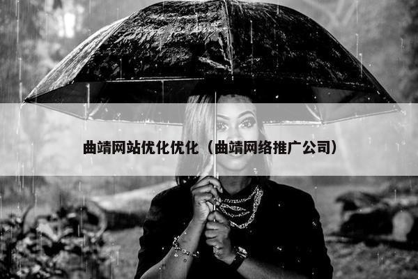 曲靖网站优化优化（曲靖网络推广公司）