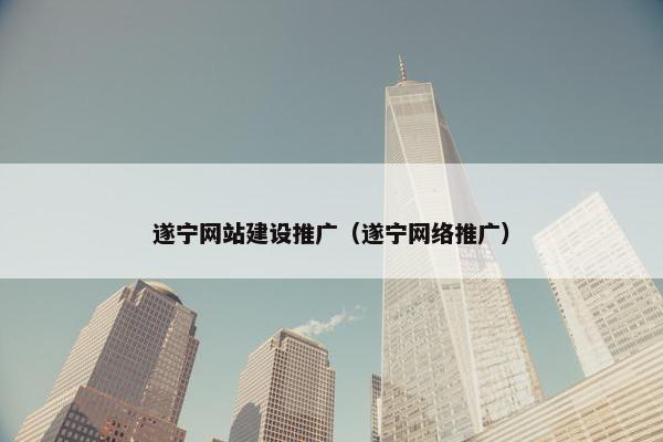 遂宁网站建设推广（遂宁网络推广）