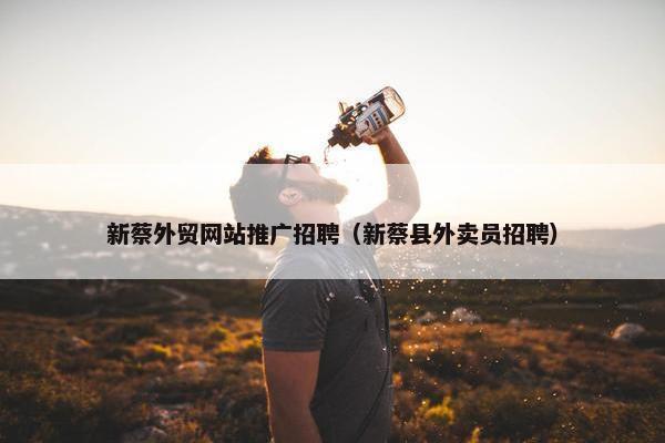 新蔡外贸网站推广招聘（新蔡县外卖员招聘）
