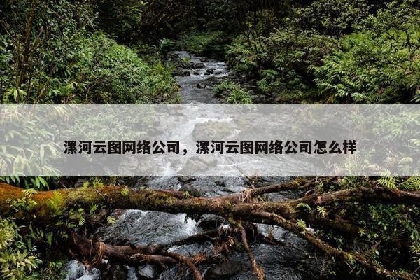 漯河云图网络公司，漯河云图网络公司怎么样