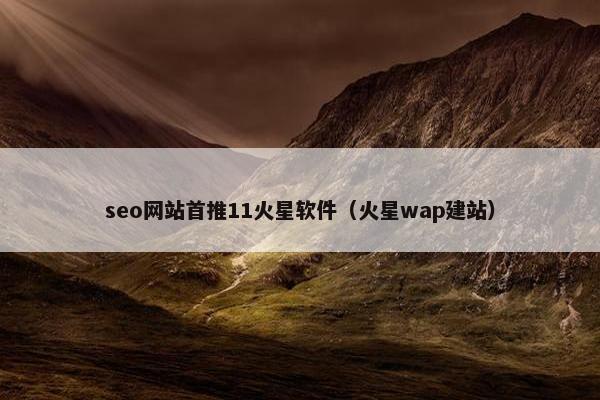 seo网站首推11火星软件（火星wap建站）