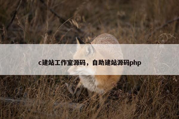 c建站工作室源码，自助建站源码php