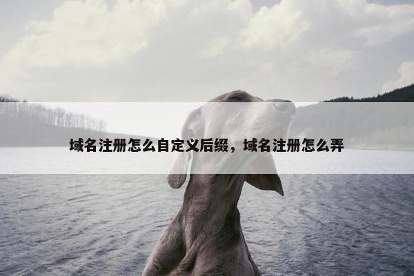 域名注册怎么自定义后缀，域名注册怎么弄