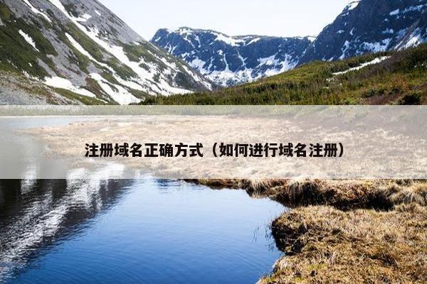 注册域名正确方式（如何进行域名注册）