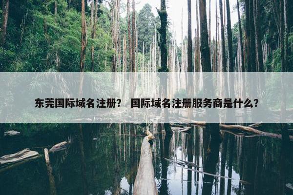东莞国际域名注册？ 国际域名注册服务商是什么？