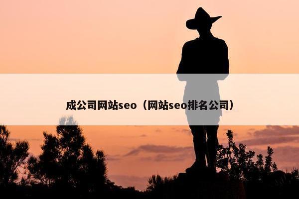 成公司网站seo（网站seo排名公司）