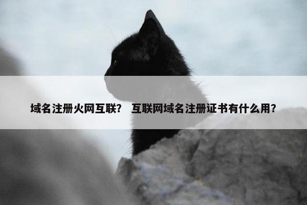 域名注册火网互联？ 互联网域名注册证书有什么用？