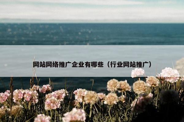 网站网络推广企业有哪些（行业网站推广）