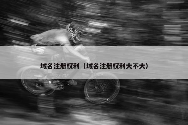 域名注册权利（域名注册权利大不大）