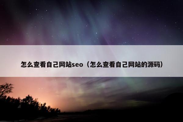 怎么查看自己网站seo（怎么查看自己网站的源码）