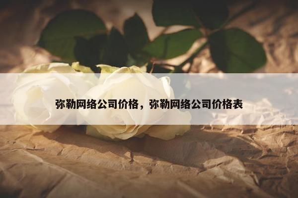 弥勒网络公司价格，弥勒网络公司价格表