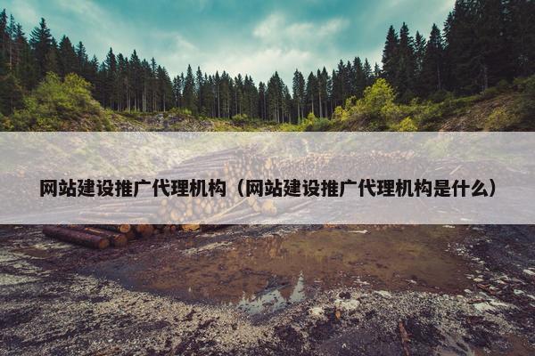 网站建设推广代理机构（网站建设推广代理机构是什么）