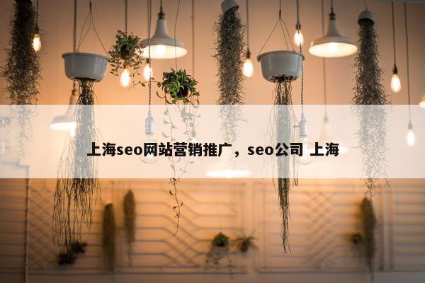 上海seo网站营销推广，seo公司 上海