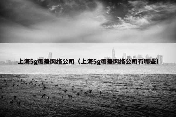 上海5g覆盖网络公司（上海5g覆盖网络公司有哪些）