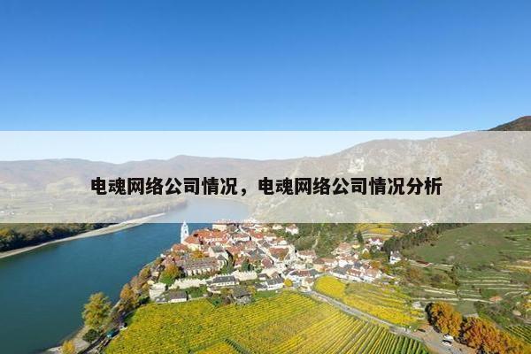 电魂网络公司情况，电魂网络公司情况分析