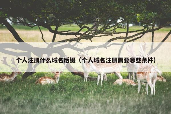 个人注册什么域名后缀（个人域名注册需要哪些条件）