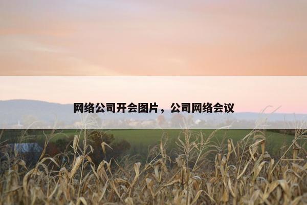 网络公司开会图片，公司网络会议