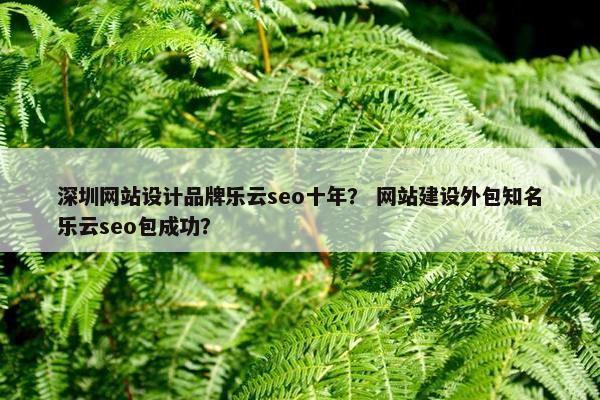 深圳网站设计品牌乐云seo十年？ 网站建设外包知名乐云seo包成功？