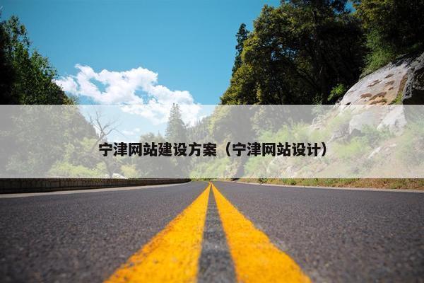 宁津网站建设方案（宁津网站设计）
