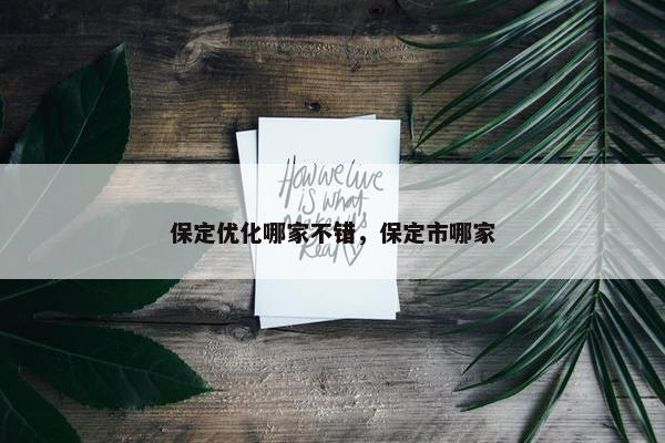 保定优化哪家不错，保定市哪家