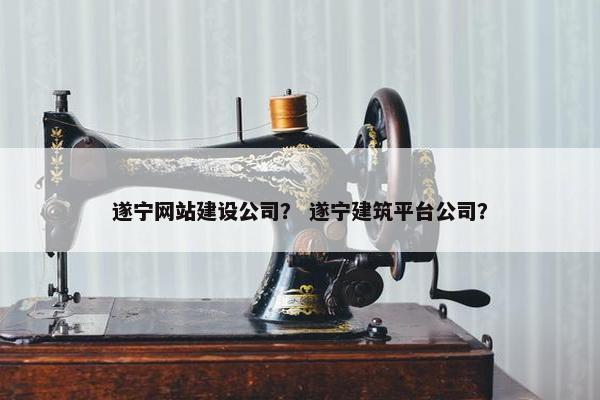遂宁网站建设公司？ 遂宁建筑平台公司？
