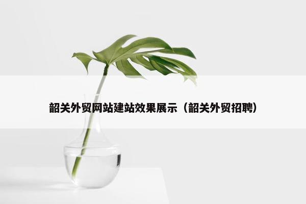 韶关外贸网站建站效果展示（韶关外贸招聘）
