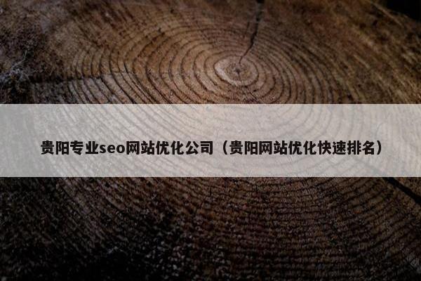贵阳专业seo网站优化公司（贵阳网站优化快速排名）