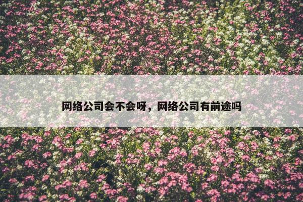 网络公司会不会呀，网络公司有前途吗