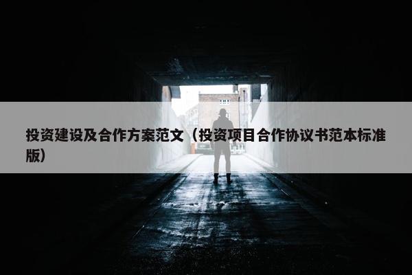 投资建设及合作方案范文（投资项目合作协议书范本标准版）