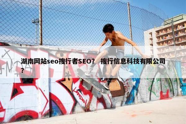 湖南网站seo搜行者SEO？ 搜行信息科技有限公司？