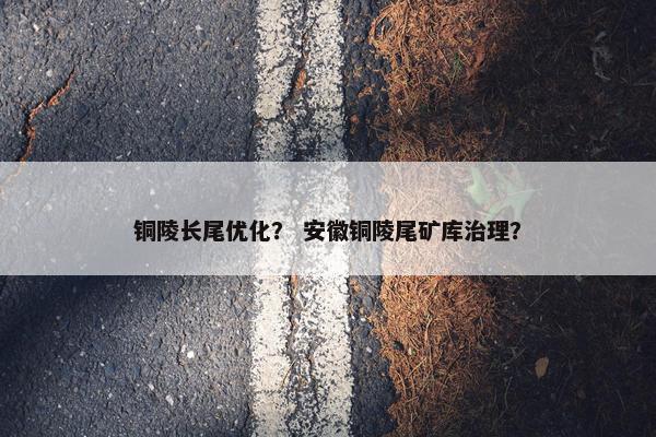 铜陵长尾优化？ 安徽铜陵尾矿库治理？