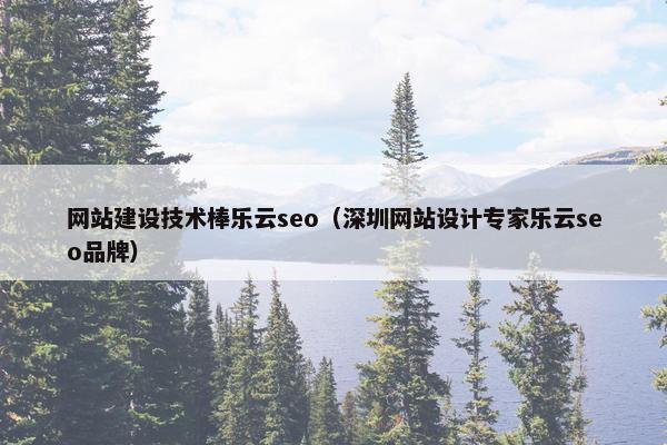 网站建设技术棒乐云seo（深圳网站设计专家乐云seo品牌）