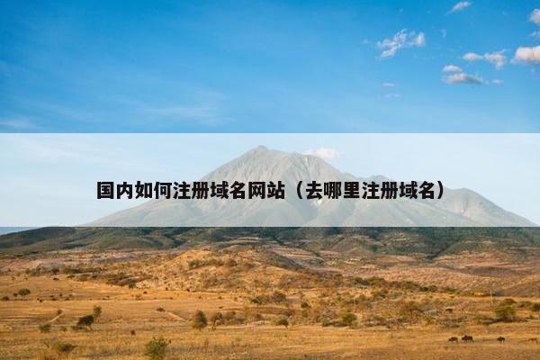 国内如何注册域名网站（去哪里注册域名）