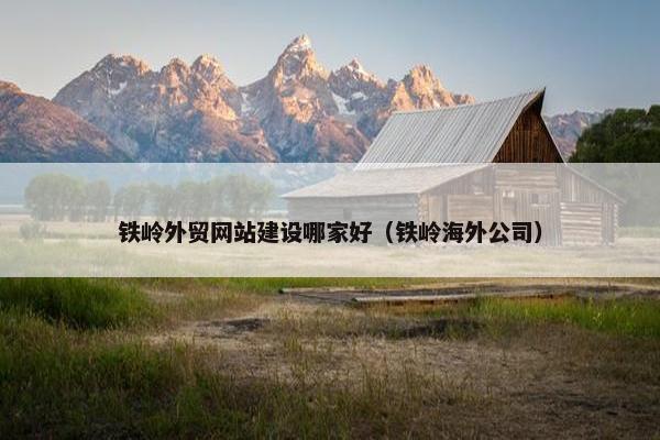 铁岭外贸网站建设哪家好（铁岭海外公司）