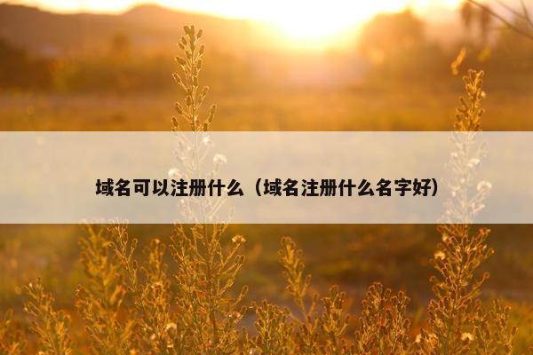 域名可以注册什么（域名注册什么名字好）