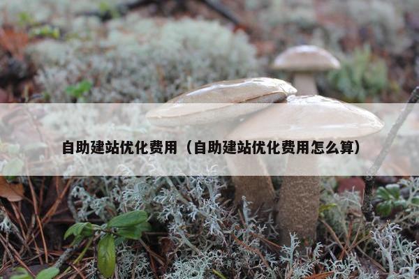 自助建站优化费用（自助建站优化费用怎么算）