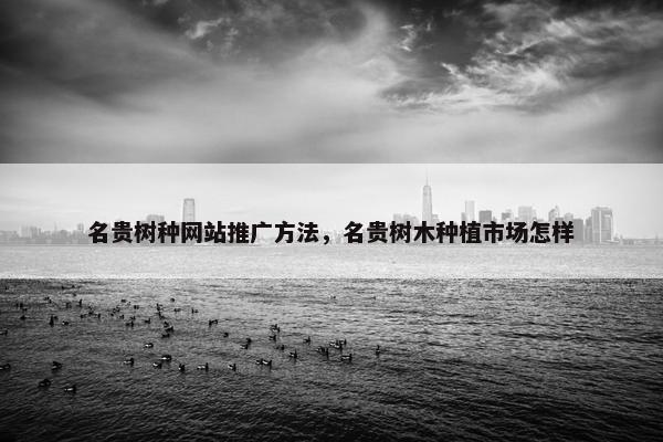 名贵树种网站推广方法，名贵树木种植市场怎样