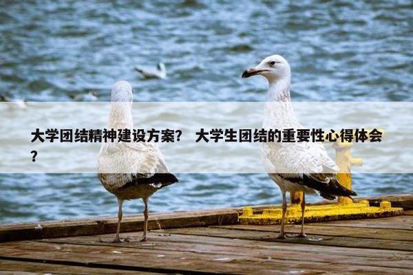 大学团结精神建设方案？ 大学生团结的重要性心得体会？