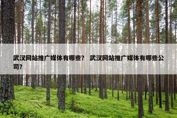 武汉网站推广媒体有哪些？ 武汉网站推广媒体有哪些公司？
