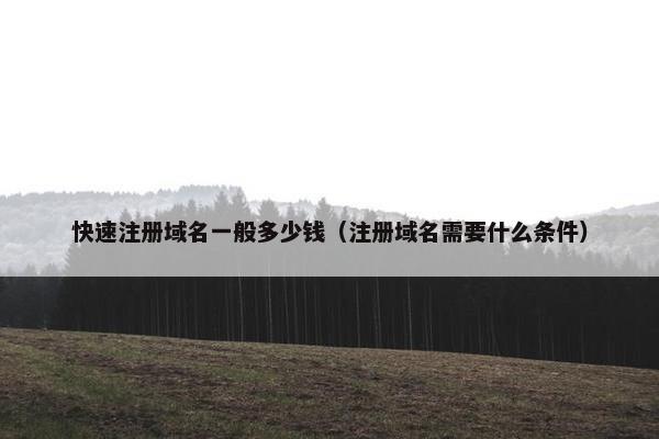 快速注册域名一般多少钱（注册域名需要什么条件）