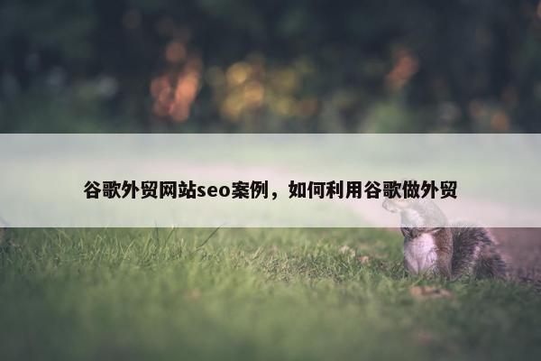谷歌外贸网站seo案例，如何利用谷歌做外贸