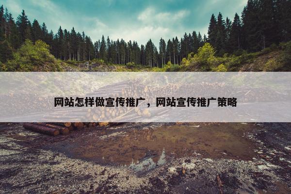 网站怎样做宣传推广，网站宣传推广策略